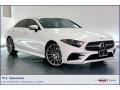 2019 Mercedes-Benz CLS 450 Coupe