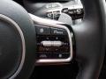 2022 Kia Sorento X-Line SX Prestige AWD Steering Wheel #10