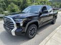 Front 3/4 View of 2023 Toyota Tundra Limited CrewMax 4x4 #7