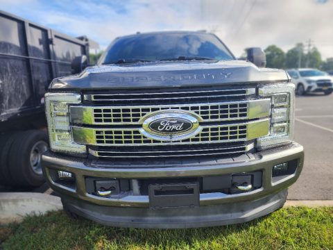Magnetic Ford F250 Super Duty Platinum Crew Cab 4x4.  Click to enlarge.