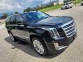 Front 3/4 View of 2015 Cadillac Escalade Platinum 4WD #6