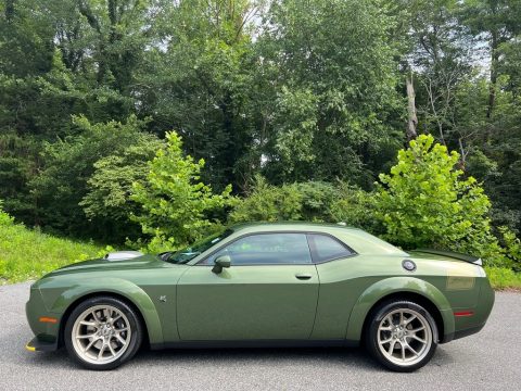 F8 Green Dodge Challenger R/T Scat Pack Swinger Edition Widebody.  Click to enlarge.