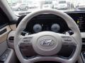  2023 Hyundai Palisade Limited AWD Steering Wheel #23