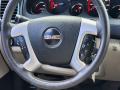  2009 GMC Acadia SLT-2 Steering Wheel #19