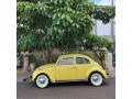  1973 Volkswagen Beetle Texas Yellow #3