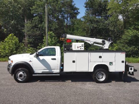 Bright White Ram 5500 Tradesman Regular Cab 4x4 Chassis Crane Truck.  Click to enlarge.