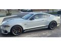 2021 Ford Mustang Mach 1 Fighter Jet Gray