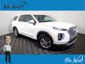 2022 Palisade SE AWD #1