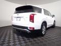 2022 Palisade SE AWD #14