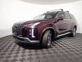 2023 Palisade Limited AWD #9 2023 Palisade Limited AWD #9