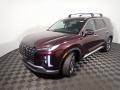 2023 Palisade Limited AWD #10 2023 Palisade Limited AWD #10