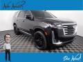 2023 Escalade Premium Luxury Platinum #1