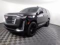2023 Escalade Premium Luxury Platinum #11