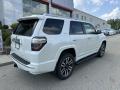 2023 4Runner Limited 4x4 #9