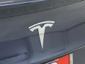 2020 Tesla Model 3 Logo #9