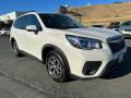 Front 3/4 View of 2019 Subaru Forester 2.5i Premium #1