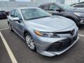 2019 Camry LE #2
