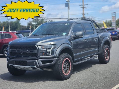 Magnetic Ford F150 Roush Raptor SuperCrew 4x4.  Click to enlarge.