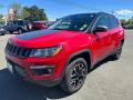 Front 3/4 View of 2021 Jeep Compass Trailhawk 4x4 #3