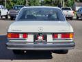  1980 Mercedes-Benz E Class Pastel Gray #4