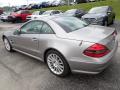  2008 Mercedes-Benz SL Pewter Metallic #3