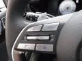  2024 Hyundai Palisade Calligraphy AWD Steering Wheel #26