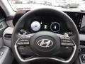  2024 Hyundai Palisade SEL AWD Steering Wheel #24