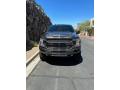  2019 Ford F150 Magnetic #4