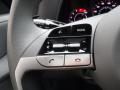  2023 Hyundai Elantra SEL Steering Wheel #20