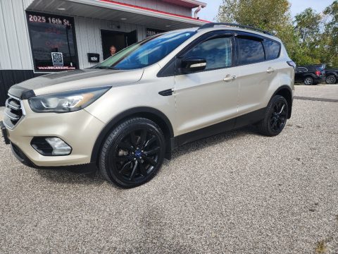 White Gold Ford Escape Titanium 4WD.  Click to enlarge.