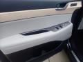 Door Panel of 2024 Hyundai Palisade Limited AWD #14