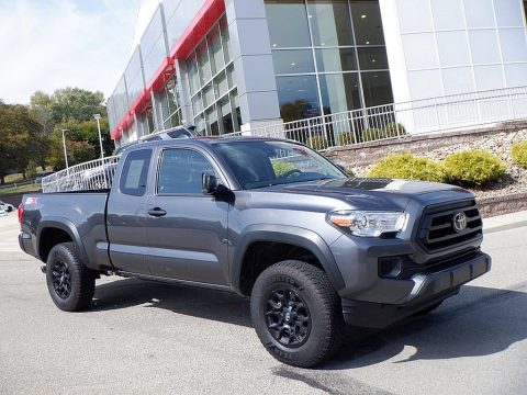 Magnetic Gray Metallic Toyota Tacoma SX Access Cab 4x4.  Click to enlarge.