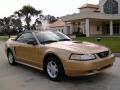 2000 Mustang V6 Convertible #1