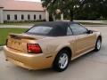 2000 Mustang V6 Convertible #6