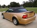 2000 Mustang V6 Convertible #8