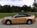 2000 Mustang V6 Convertible #9