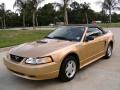 2000 Mustang V6 Convertible #10