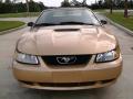 2000 Mustang V6 Convertible #11