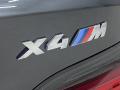  2023 BMW X4 M Logo #8