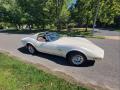  1976 Chevrolet Corvette Custom Pearl White #17