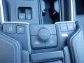 Controls of 2024 Toyota Grand Highlander XLE AWD #15