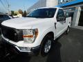 2021 F150 XL Regular Cab 4x4 Plow Truck #18