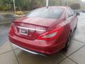2013 CLS 550 4Matic Coupe #6