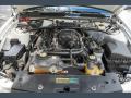  2007 Mustang 5.4 Liter Supercharged DOHC 32-Valve V8 Engine #13