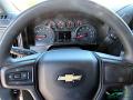  2019 Chevrolet Silverado 1500 WT Regular Cab Steering Wheel #18
