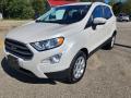 Front 3/4 View of 2019 Ford EcoSport SE 4WD #26