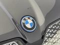  2024 BMW iX Logo #5