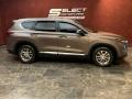  2020 Hyundai Santa Fe Earthy Bronze #4