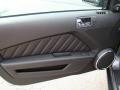 2010 Mustang V6 Premium Convertible #14