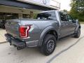 2019 Ford F150 Magnetic #2